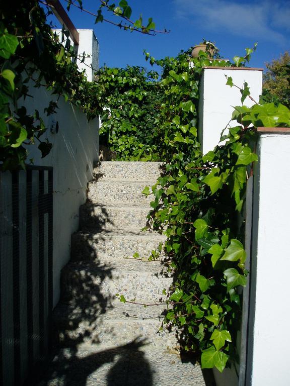קאסורלה Alojamiento San Juan Bautista מראה חיצוני תמונה