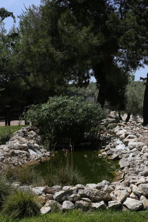 קאסורלה Alojamiento San Juan Bautista מראה חיצוני תמונה